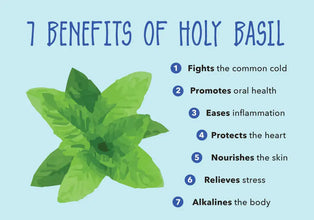 Holy Basil Infused Alkaline Sea Moss Gel, promotes immunity and wellness.