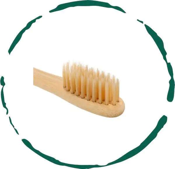 Aptisus Bamboo Toothbrush – Soft & Eco-Friendly - Aptisus